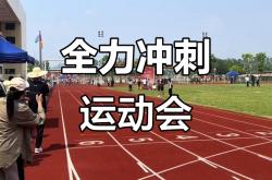 足球直播在线观看免费-全力以赴：田径项目中选手展现实力