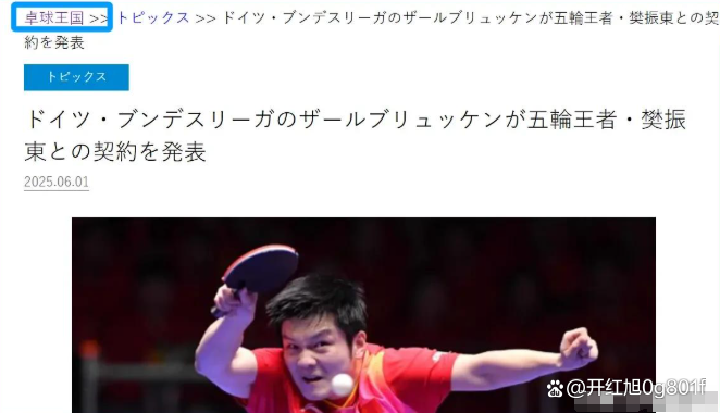关于日本乒乓球队强势德国乒乓球队,樊振东爆发神勇的信息 关于日本乒乓球队强势德国乒乓球队,樊振东爆发神勇的信息