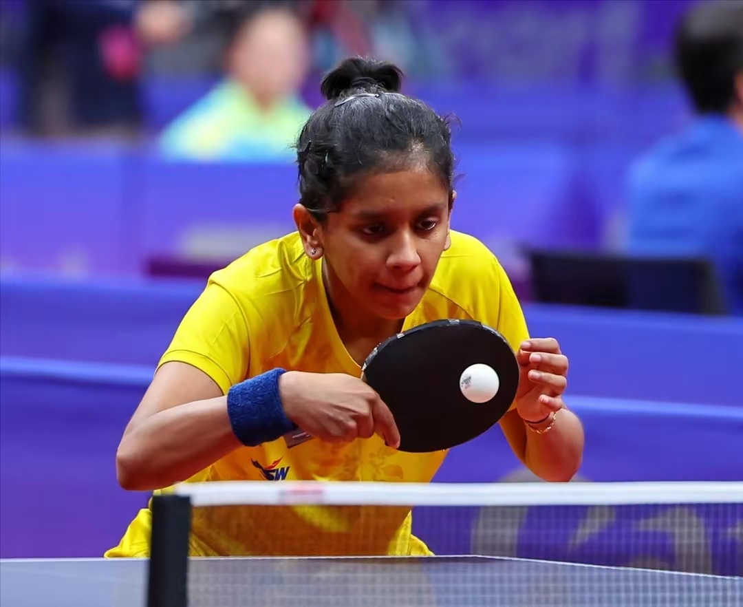 关于法国队完胜泰国队，马琳统治全场的信息