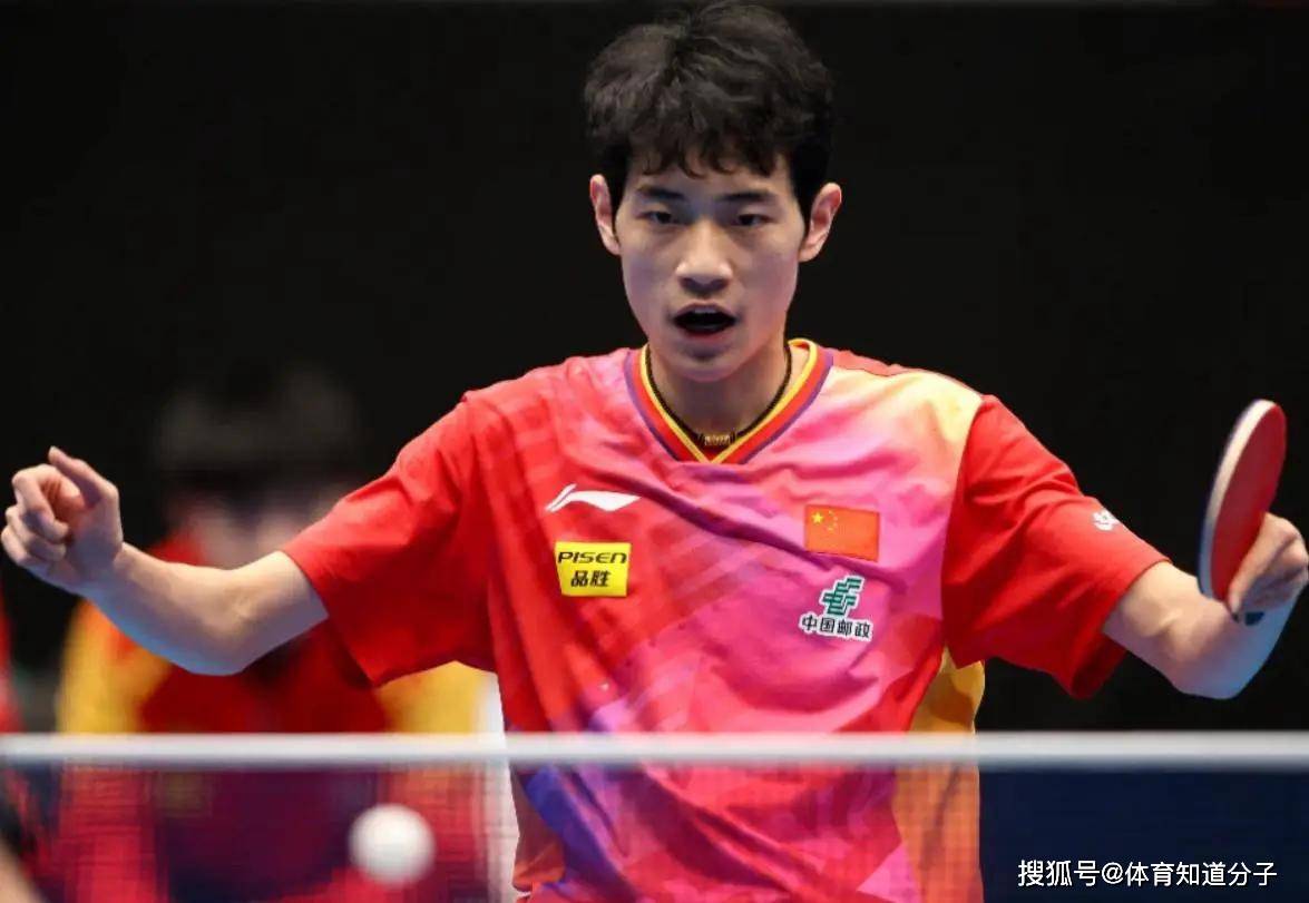 关于波兰队险胜中国队，张本智和状态火热的信息